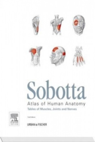 Könyv Sobotta Tables of Muscles, Joints and Nerves, English/Latin Johannes Sobotta