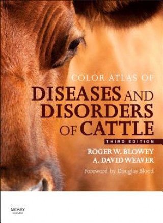 Buch Color Atlas of Diseases and Disorders of Cattle Roger Blowey