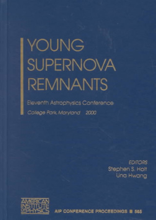 Carte Young Supernova Remnants Stephen S. Holt