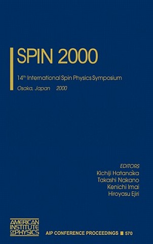 Buch SPIN 2000 Kichiji Hatanaka