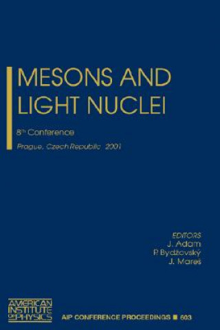 Kniha Mesons and Light Nuclei J. Adam
