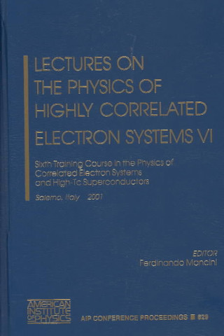 Kniha Lectures on the Physics of Highly Correlated Electron Systems VI Ferdinando Mancini