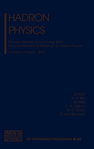 Książka Hadron Physics A.H. Blin