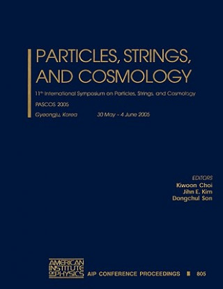 Książka Particles, Strings and Cosmology Kiwoon Choi