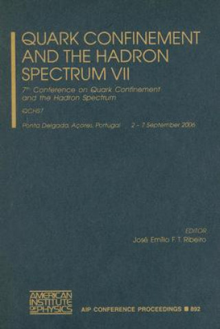 Könyv Quark Confinement and the Hadron Spectrum VII Jose Emilio F. T. Ribeiro