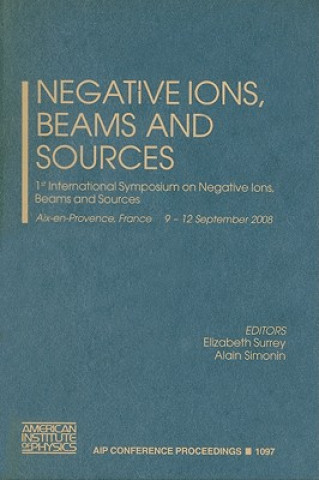 Książka Negative Ions, Beams and Sources Elizabeth Surrey