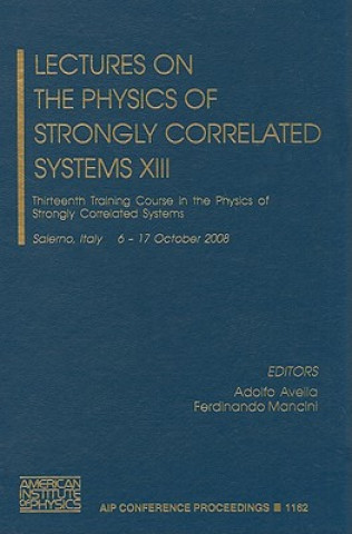 Kniha Lectures on the Physics of Strongly Correlated Systems XIII Adolfo Avella