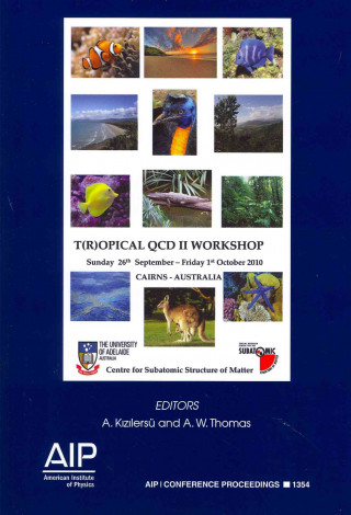 Buch T(r)opical QCD II Workshop A. Kizilersu