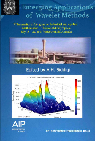 Buch Emerging Applications of Wavelet Methods: A.H. Siddiqi