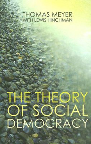 Knjiga Theory of Social Democracy Thomas Meyer