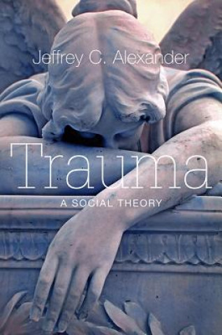 Kniha Trauma - A Social Theory Jeffrey C. Alexander