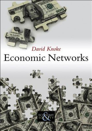 Книга Economic Networks David Knoke