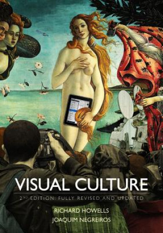 Книга Visual Culture Richard Howells