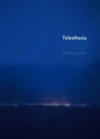 Kniha Telesthesia - Communication, Culture & Class McKenzie Wark