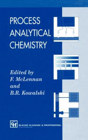 Kniha Process Analytical Chemistry F. McLennan