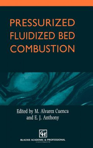 Kniha Pressurized Fluidized Bed Combustion M. Alvarez Cuenca