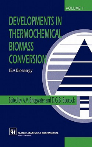 Carte Developments in Thermochemical Biomass Conversion. Vol.1 A.V. Bridgwater