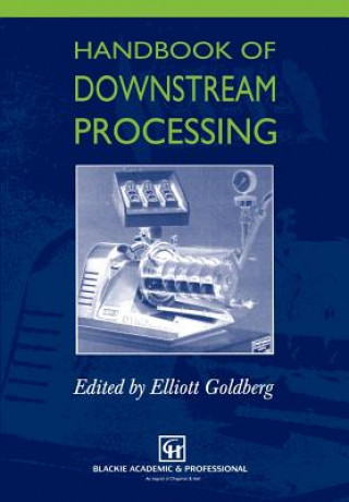 Könyv Handbook of Downstream Processing E. Goldberg