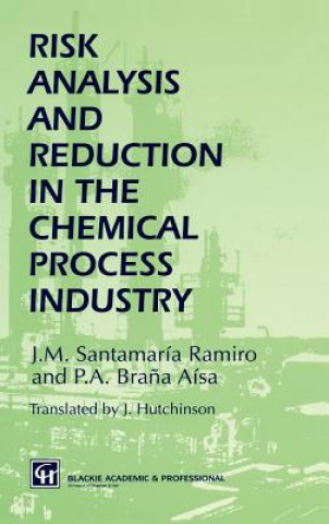 Książka Risk Analysis and Reduction in the Chemical Process Industry J.M. Santamaría Ramiro