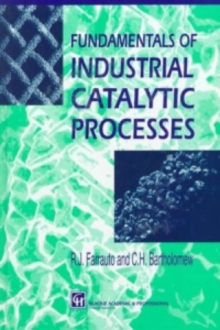 Carte Fundamentals of industrial catalytic processes Robert J. Farrauto