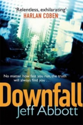 Buch Downfall Jeff Abbott