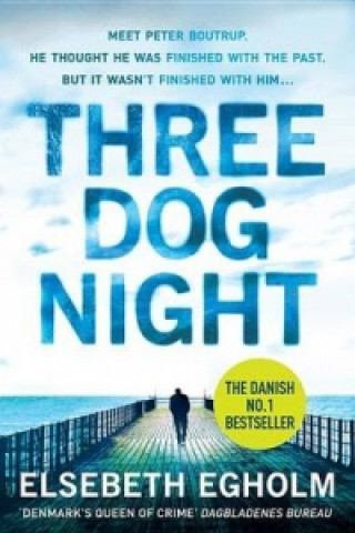 Könyv Three Dog Night Elsebeth Egholm