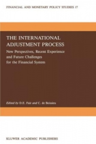 Kniha International Adjustment Process D.E. Fair