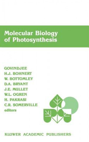 Carte Molecular Biology of Photosynthesis ovindjee