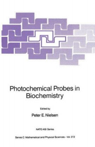 Knjiga Photochemical Probes in Biochemistry Peter E. Nielsen