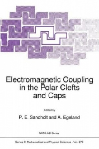 Kniha Electromagnetic Coupling in the Polar Clefts and Caps Per Even Sandholt