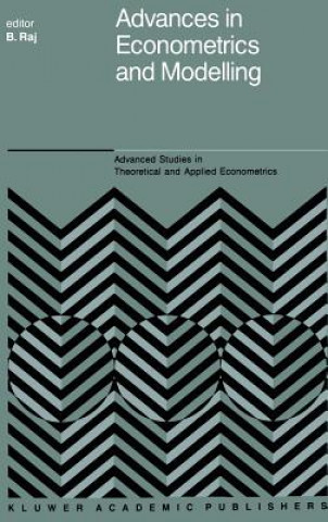 Kniha Advances in Econometrics and Modelling B. Raj