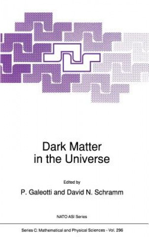 Książka Dark Matter in the Universe P. Galeotti