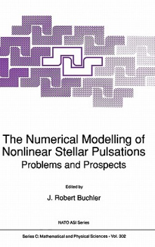 Книга The Numerical Modelling of Nonlinear Stellar Pulsations J. Robert Buchler