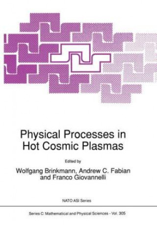 Könyv Physical Processes in Hot Cosmic Plasmas W. Brinkmann