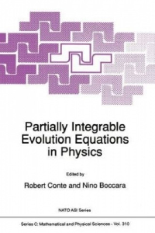 Książka Partially Integrable Evolution Equations in Physics R. Conte