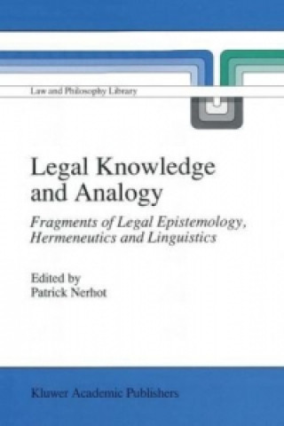 Kniha Legal Knowledge and Analogy P.J. Nerhot