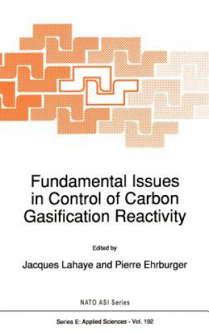 Carte Fundamental Issues in Control of Carbon Gasification Reactivity L Lahaye