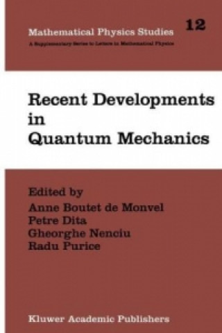 Książka Recent Developments in Quantum Mechanics Anne Boutet de Monvel