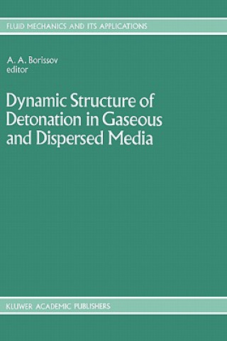 Kniha Dynamic Structure of Detonation in Gaseous and Dispersed Media A.A. Borissov