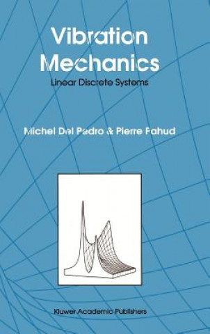 Kniha Vibration Mechanics M. del Pedro