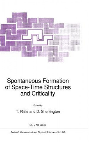 Carte Spontaneous Formation of Space-Time Structures and Criticality T. Riste