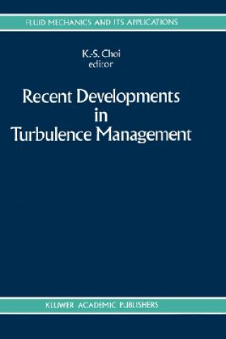 Книга Recent Developments in Turbulence Management K.-S. Choi
