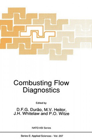 Kniha Combustings Flow Diagnostics D.F.G. Dur