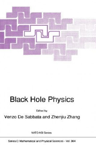 Kniha Black Hole Physics Venzo de Sabbata