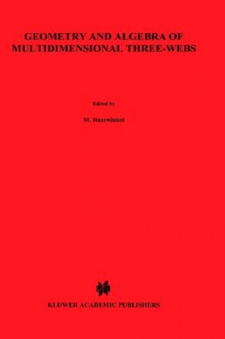 Könyv Geometry and Algebra of Multidimensional Three-Webs M. Akivis