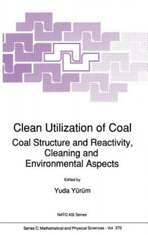 Kniha Clean Utilization of Coal Yuda Yürüm