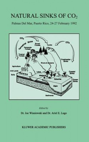 Kniha Natural Sinks of CO2 Joe Wisniewski