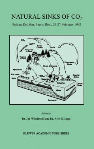 Livre Natural Sinks of CO2 Joe Wisniewski