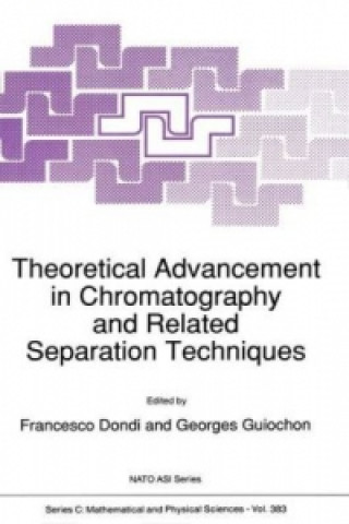 Carte Theoretical Advancement in Chromatography and Related Separation Techniques Francesco Dondi