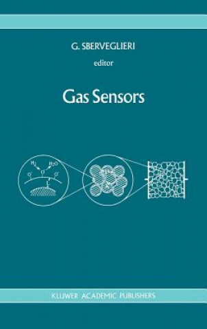 Kniha Gas Sensors G. Sberveglieri